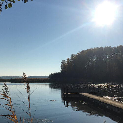 Slider - Sun Sun
